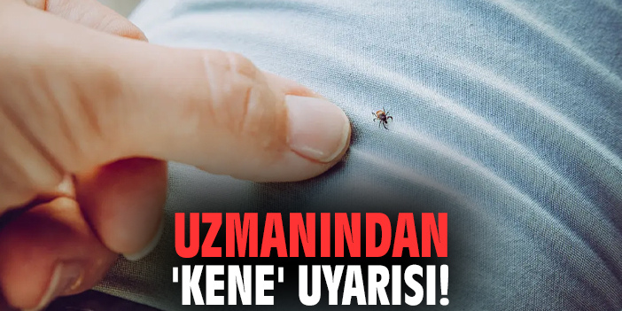 Uzmanından 'kene' uyarısı!