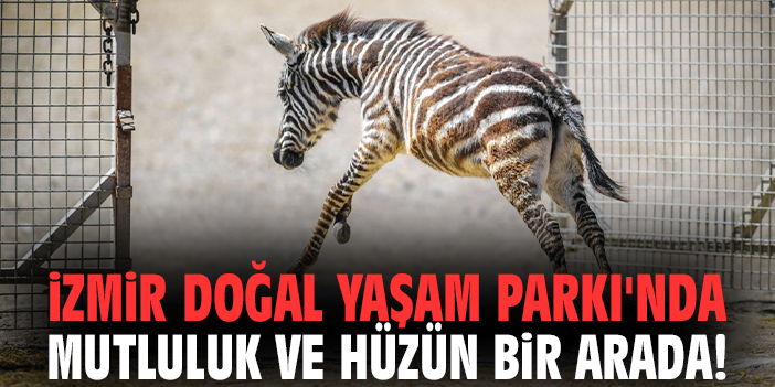 İzmir Doğal Yaşam Parkı'nda mutluluk ve hüzün bir arada!