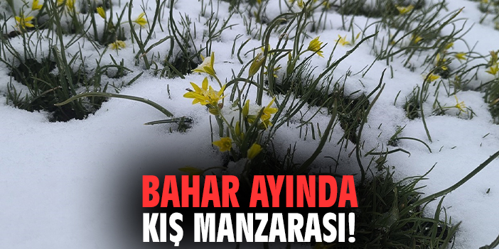 Bahar ayında kış manzarası!