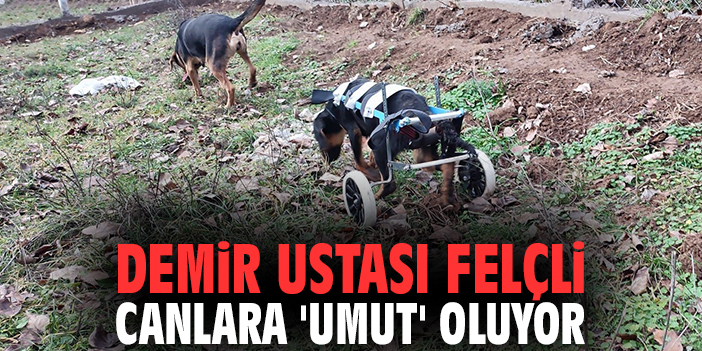 Demir ustası felçli canlara 'umut' oluyor
