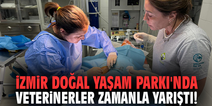 İzmir Doğal Yaşam Parkı'nda veterinerler zamanla yarıştı!