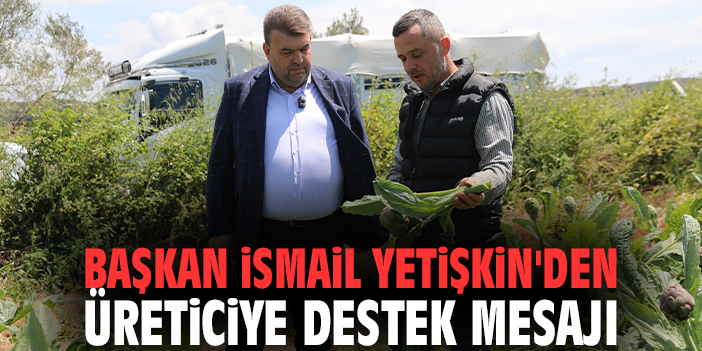 Seferihisar'da  enginar hasadı başladı: Başkan İsmail Yetişkin'den üreticiye destek mesajı