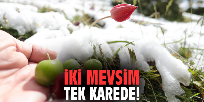 İki mevsim tek karede!