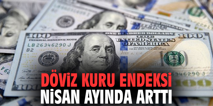 Döviz kuru endeksi Nisan ayında arttı