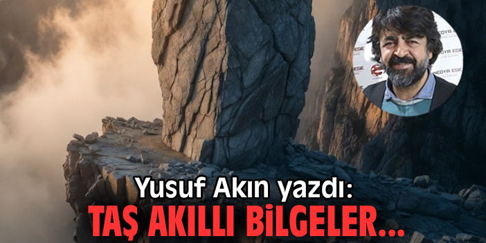 Taş akıllı bilgeler...