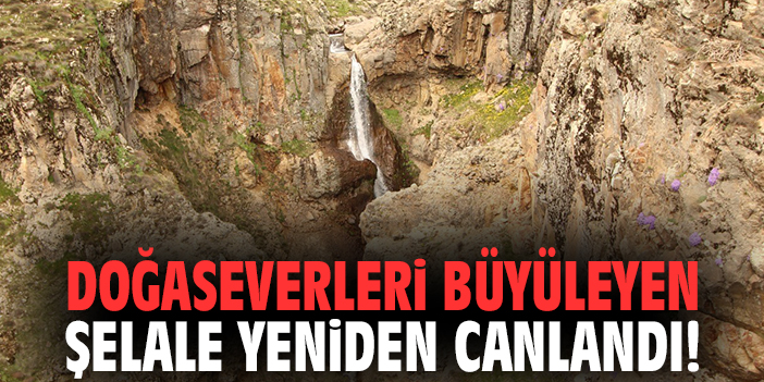 Doğaseverleri büyüleyen şelale yeniden canlandı!