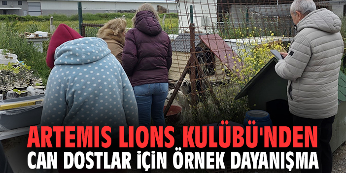 Artemis Lions Kulübü'nden can dostlar için örnek dayanışma
