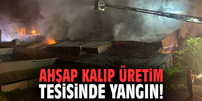 Ahşap kalıp üretim tesisinde yangın!