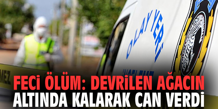 Feci ölüm: Devrilen ağacın altında kalarak can verdi
