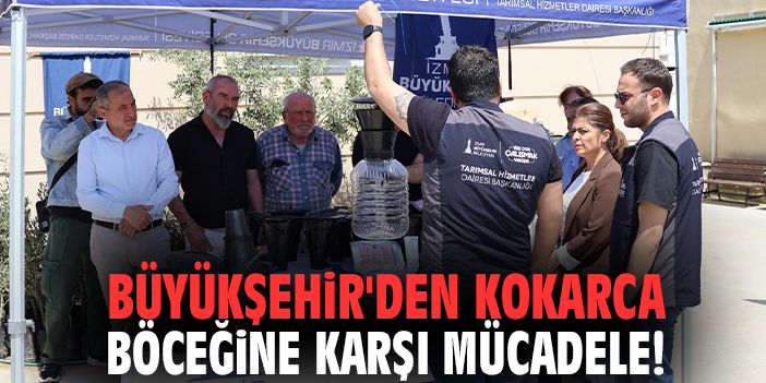 Büyükşehir'den kokarca böceğine karşı mücadele!