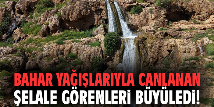 Bahar yağışlarıyla canlanan şelale görenleri büyüledi!