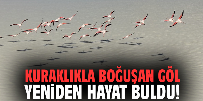 Kuraklıkla boğuşan göl yeniden hayat buldu!