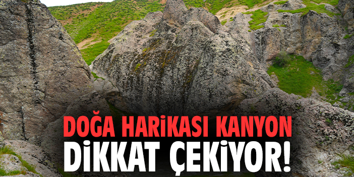 Doğa harikası kanyon dikkat çekiyor!