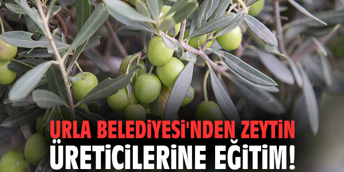 Urla Belediyesi'nden zeytin üreticilerine eğitim!