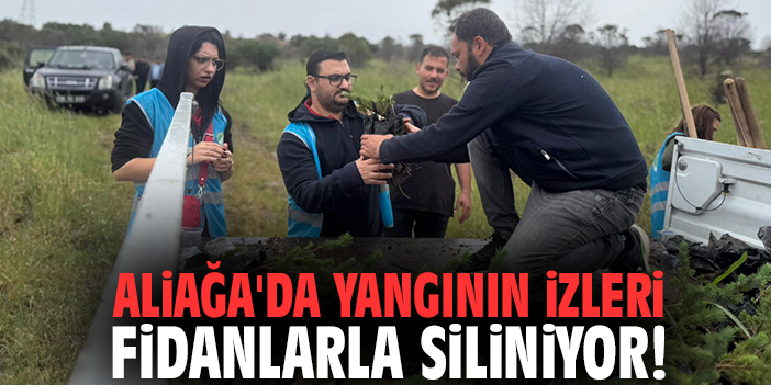 Aliağa'da yangının izleri fidanlarla siliniyor!