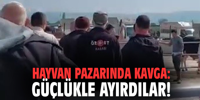 Hayvan pazarında kavga: Güçlükle ayırdılar!