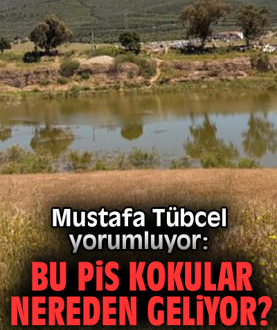 Bu pis kokular nereden geliyor?