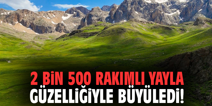2 bin 500 rakımlı yayla güzelliğiyle büyüledi!