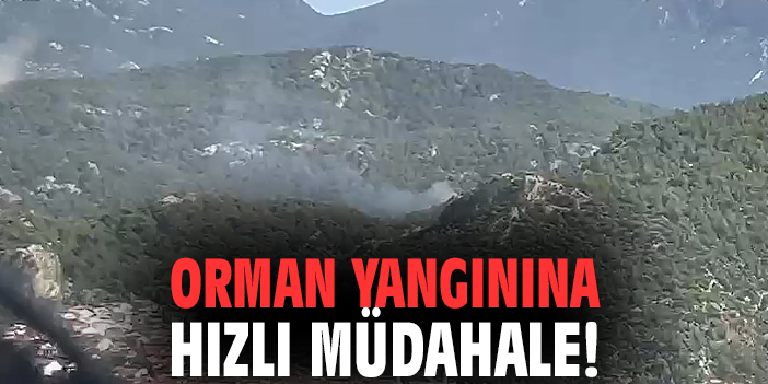 Orman yangınına hızlı müdahale!