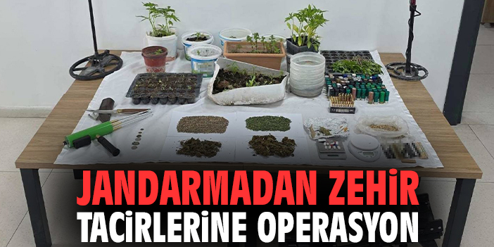 Jandarmadan zehir tacirlerine operasyon
