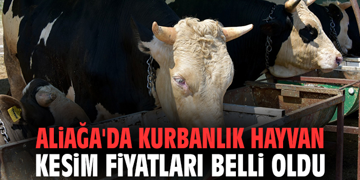 Aliağa'da kurbanlık hayvan kesim fiyatları belli oldu