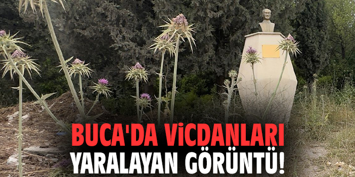 Buca'da vicdanları yaralayan görüntü!