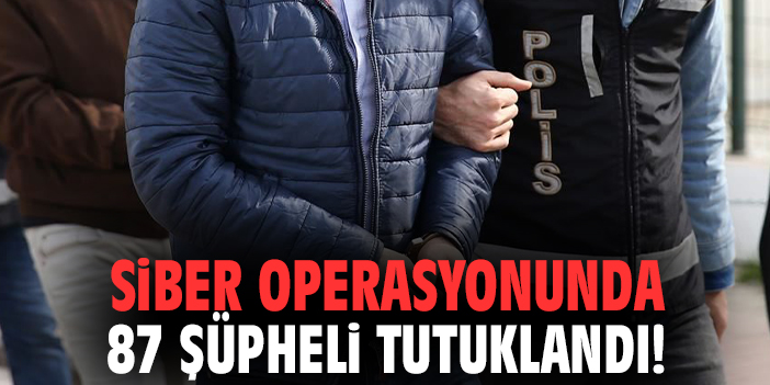 Siber operasyonunda 87 şüpheli tutuklandı!
