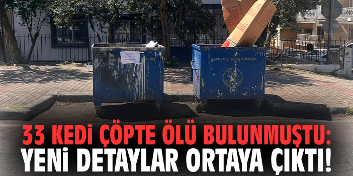 33 kedi çöpte ölü bulunmuştu: Yeni detaylar ortaya çıktı!