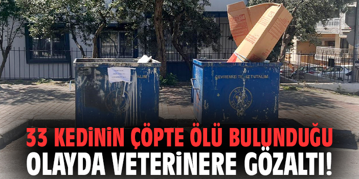 33 kedinin çöpte ölü bulunduğu olayda veterinere gözaltı!