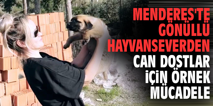 Menderes'te gönüllü hayvanseverden can dostlar için örnek mücadele