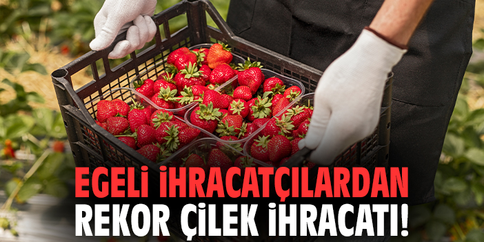 Egeli İhracatçılardan rekor çilek ihracatı!