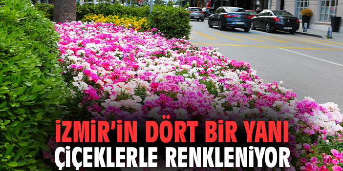 İzmir’in Dört Bir Yanı Çiçeklerle Renkleniyor