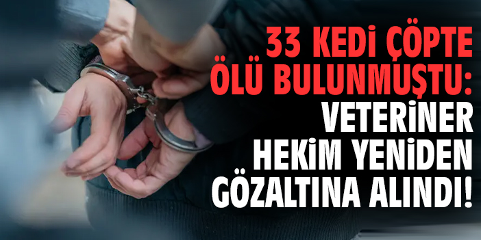 33 kedi çöpte ölü bulunmuştu: veteriner hekim yeniden gözaltına alındı!