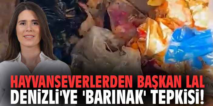 Hayvanseverlerden Başkan Lal Denizli'ye 'barınak' tepkisi!