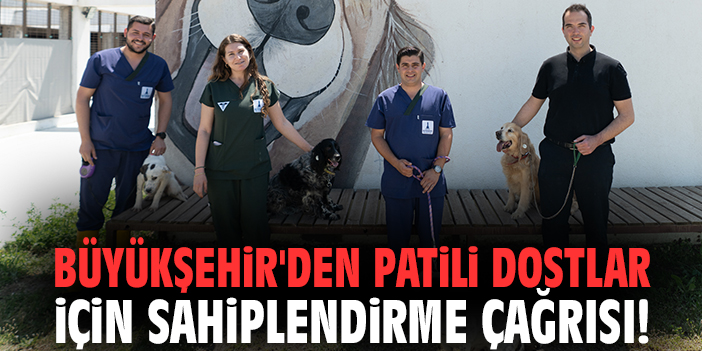 Büyükşehir'den patili dostlar için sahiplendirme çağrısı!