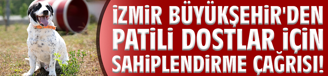 Büyükşehir'den patili dostlar için sahiplendirme çağrısı!