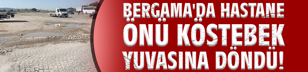 Bergama'da hastane önü köstebek yuvasına döndü!
