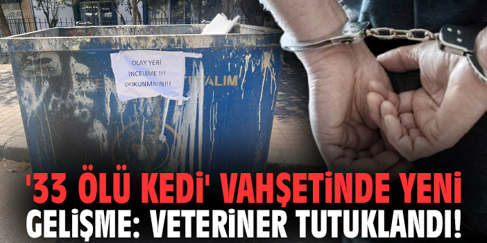 '33 ölü kedi' vahşetinde yeni gelişme: Veteriner tutuklandı!