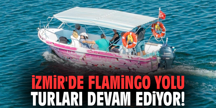 İzmir'de Flamingo Yolu turları devam ediyor!