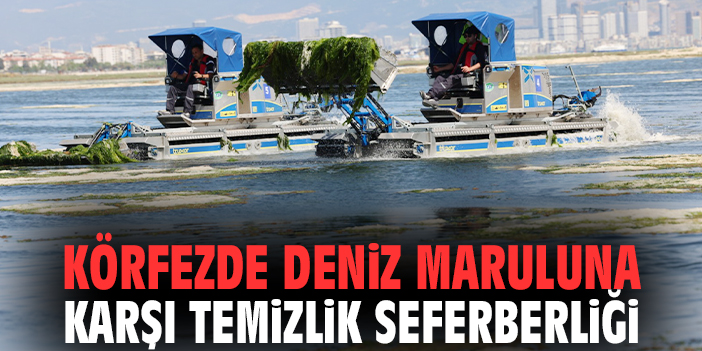 Körfezde deniz maruluna karşı temizlik seferberliği