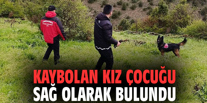Kaybolan kız çocuğu sağ olarak bulundu