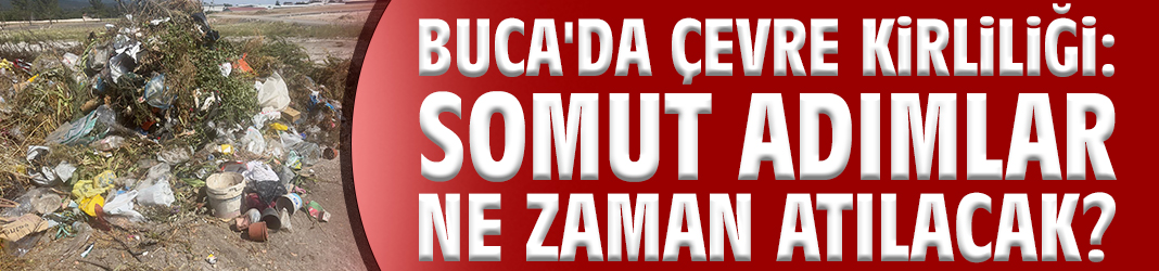 Buca'da çevre kirliliği: Somut adımlar ne zaman atılacak?