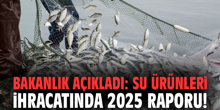 Bakanlık açıkladı: Su ürünleri ihracatında 2025 raporu!