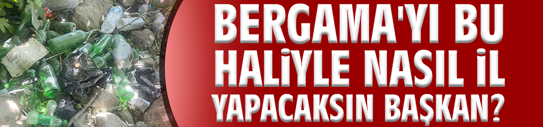 Bergama'yı bu haliyle nasıl il yapacaksın Başkan?