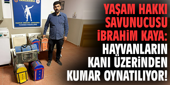 Yaşam Hakkı Savunucusu İbrahim Kaya: Hayvanların kanı üzerinden kumar oynatılıyor!