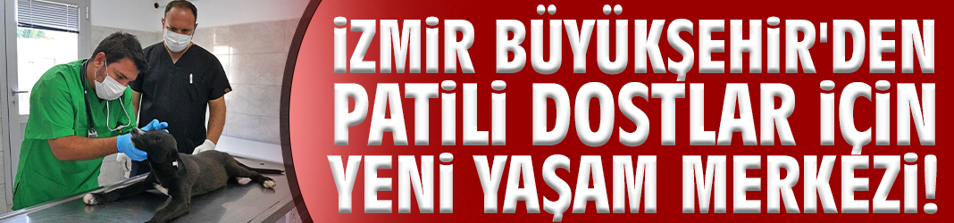 Büyükşehir'den patili dostlar için yeni yaşam merkezi!