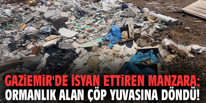 Gaziemir'de isyan ettiren manzara: Ormanlık alan çöp yuvasına döndü!