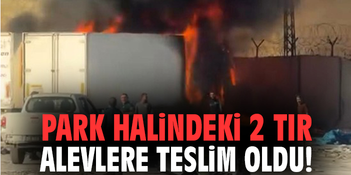 Park halindeki 2 tır alevlere teslim oldu!