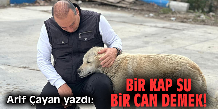 Bir Kap Su Bir Can Demek!