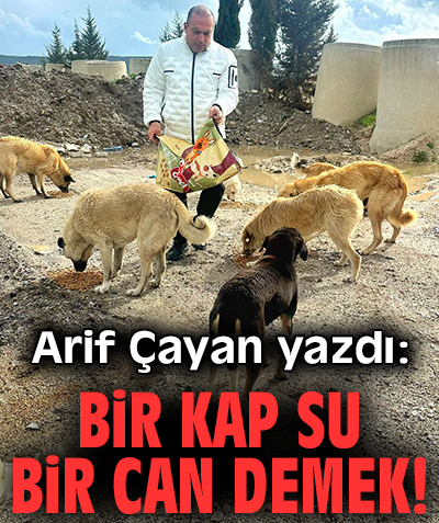 Bir Kap Su Bir Can Demek!